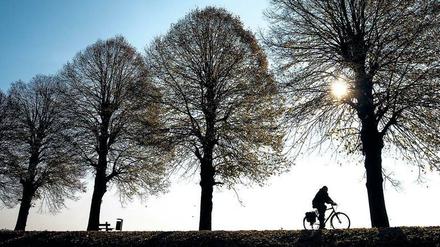 Auf den eigenen zwei Rädern. Wer eine Tour durch Brandenburg unternimmt, kann Zauberhaftes entdecken – und entspannen. 