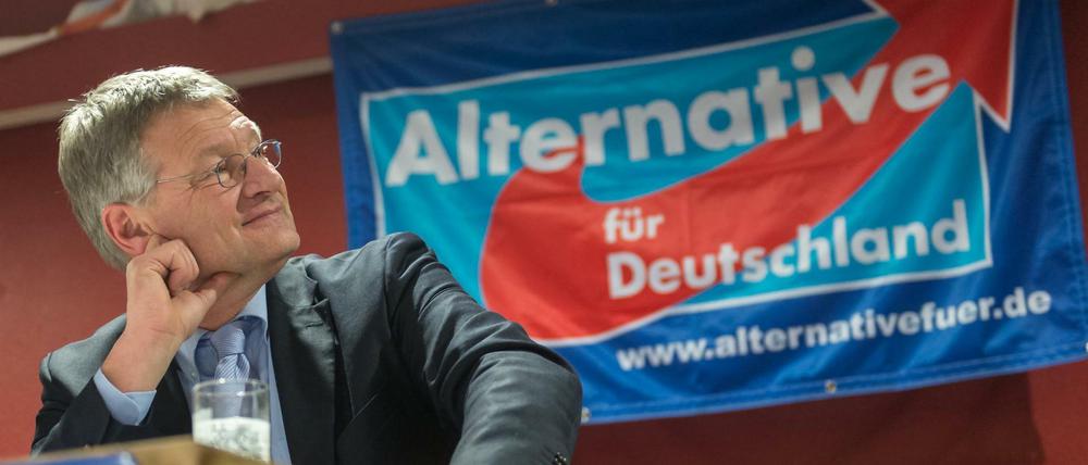 Jörg Meuthen, Spitzenkandidat der AfD in Baden-Württemberg, gilt in der rechtspopulistischen Partei als Gegengewicht zur Parteichefin Frauke Petry. 
