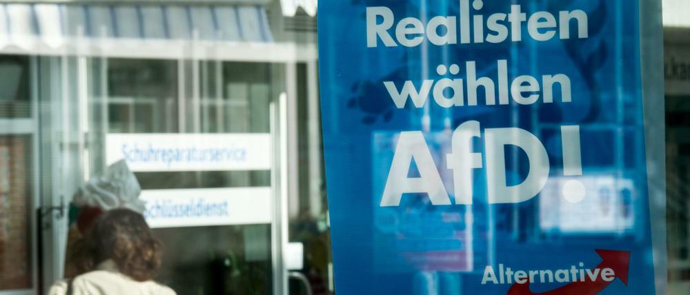 Wahlplakat der AfD.