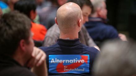 Der größte Nutznießer der erhöhten Wählerbeteiligung war die AfD.