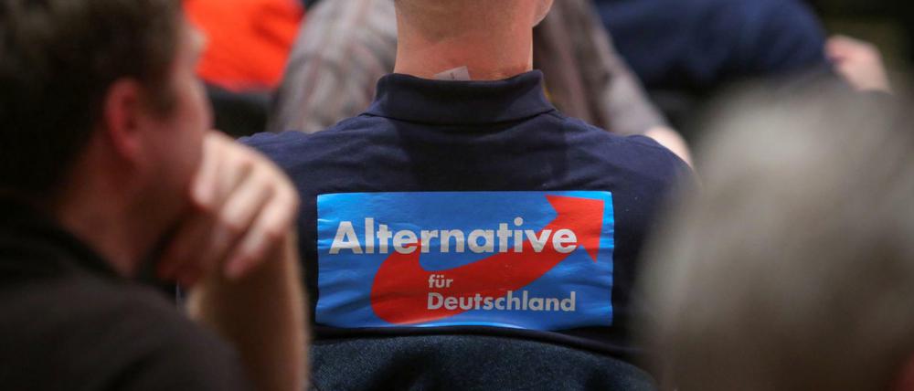Der größte Nutznießer der erhöhten Wählerbeteiligung war die AfD.