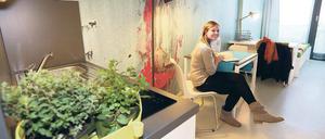 Wohncontainer für Studenten zeigen, wie eng der Markt ist. 