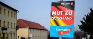 Wahlplakat der Alternative für Deutschland (AfD) für die Landtagswahl in Sachsen-Anhalt in Deuben. 