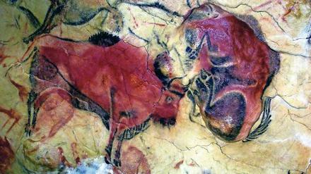 Rund 16 000 Jahre alte Bison-Darstellungen im spanischen Altamira.
