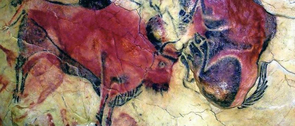 Rund 16 000 Jahre alte Bison-Darstellungen im spanischen Altamira.