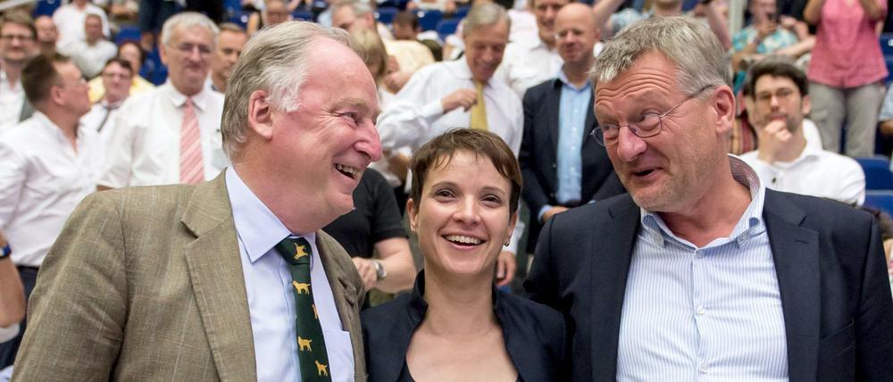 AfD-Chefin Frauke Petry, hier zusammen mit Bundesvize Alexander Gauland (links) und ihrem Co-Vorsitzenden Jörg Meuthen (rechts).