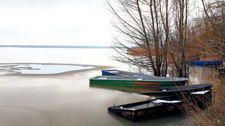 Die Lausitzer Tagebaue schaden auch den Gewässern in Brandenburg. Viele sind mit Ockerschlamm belastet, und die Spree trägt so viel Sulfat nach Berlin, dass das Trinkwasser in Gefahr gerät.