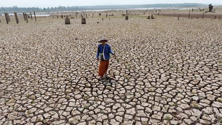 Besonders warm war es unter anderem in vielen Teilen Südamerikas, Afrikas, Süd- und Osteuropas und Asiens wie hier in Thailand.