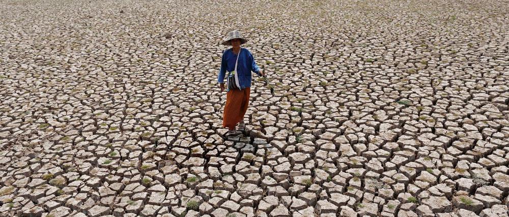 Besonders warm war es unter anderem in vielen Teilen Südamerikas, Afrikas, Süd- und Osteuropas und Asiens wie hier in Thailand.