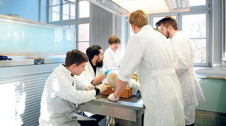 Im Präpariersaal. Um die Ärzte-Ausbildung an der Charité sicherzustellen, sind jedes Jahr 100 Leichen nötig. 2015 waren es nur 86.
