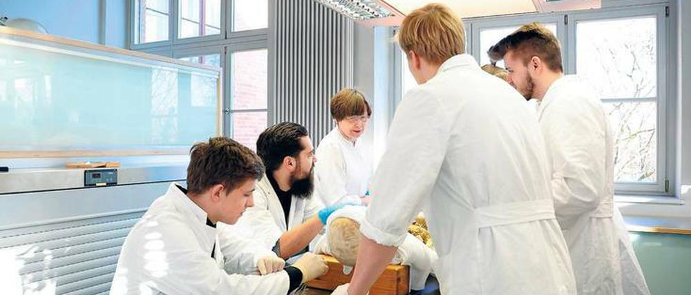 Im Präpariersaal. Um die Ärzte-Ausbildung an der Charité sicherzustellen, sind jedes Jahr 100 Leichen nötig. 2015 waren es nur 86. 