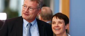 Die beiden AfD-Vorsitzenden Jörg Meuthen und Frauke Petry.