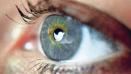 Gespiegelt. Das Twitter-Symbol im Auge einer Userin. Rund 320 Millionen Menschen nutzen den Nachrichtendienst.