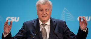 CSU-Chef Horst Seehofer.