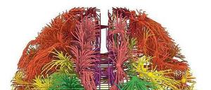 Angstzustände entwickeln sich oftmals in der Pubertät, weil in dieser Zeit die Hirnregionen für bewusstes Denken und Gefühlskontrolle, der Präfrontale Kortex und das Limbische System, besser oder schlechter miteinander verknüpft werden - abhängig von bestimmten Genvarianten.