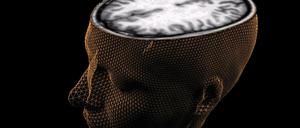 Sitz des Bewusstseins. Das Gehirn erzeugt unser Ich-Gefühl. Wie das geschieht, ist Gegenstand heftiger Debatten.