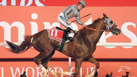 Sechs-Millionen-Dollar-Sieg. Victor Espinoza und California Chrome ließen der Konkurrenz in Dubai keine Chance. 