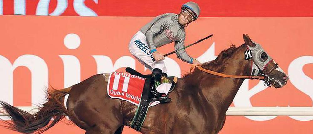 Sechs-Millionen-Dollar-Sieg. Victor Espinoza und California Chrome ließen der Konkurrenz in Dubai keine Chance. 