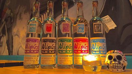 Hochprozentig: Im "Tin Tan" kann man das mexikanische Nationalgetränk Mezcal trinken - und auch eine Flasche für Zuhause mitnehmen.