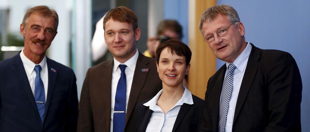 Prekäres Bündnis. André Poggenburg (zweiter von links) und Jörg Meuthen (ganz rechts) trennen Welten. In der Mitte AfD-Vorsitzende Frauke Petry.