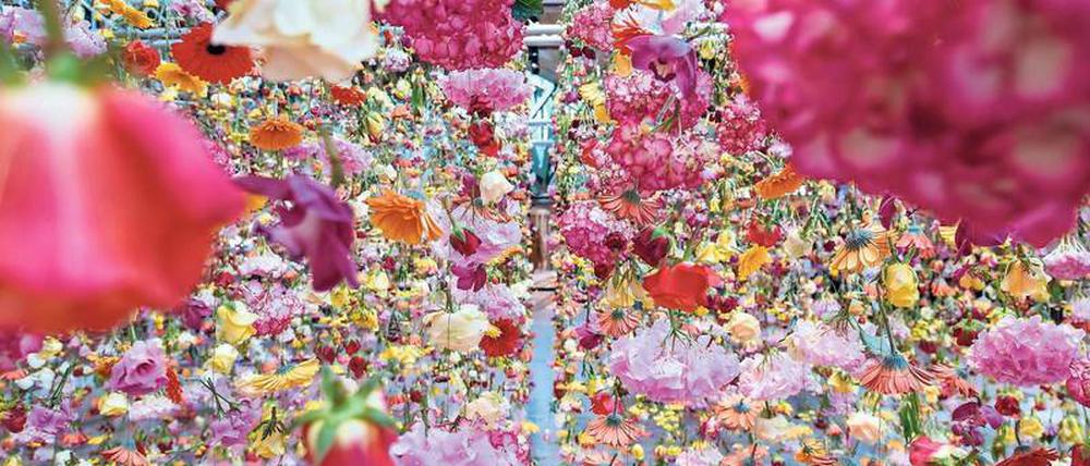 Ein Himmel voller Blüten. Für die Installation von Rebecca Louise Law im Bikini Berlin wurden Rosen, Hortensien, Gerbera, Freesien und Orchideen verwendet.