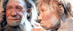 Vorfahren. So könnten Neandertaler einst ausgesehen haben.