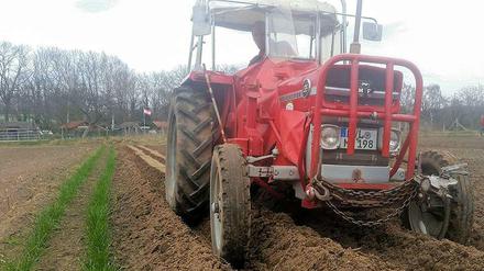 Biologische Landwirtschaft bei SpeiseGut in Gatow.
