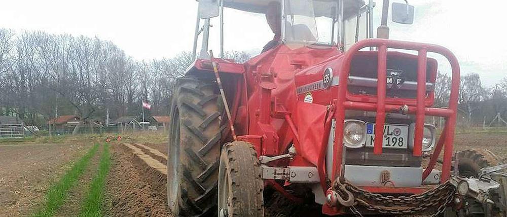 Biologische Landwirtschaft bei SpeiseGut in Gatow.