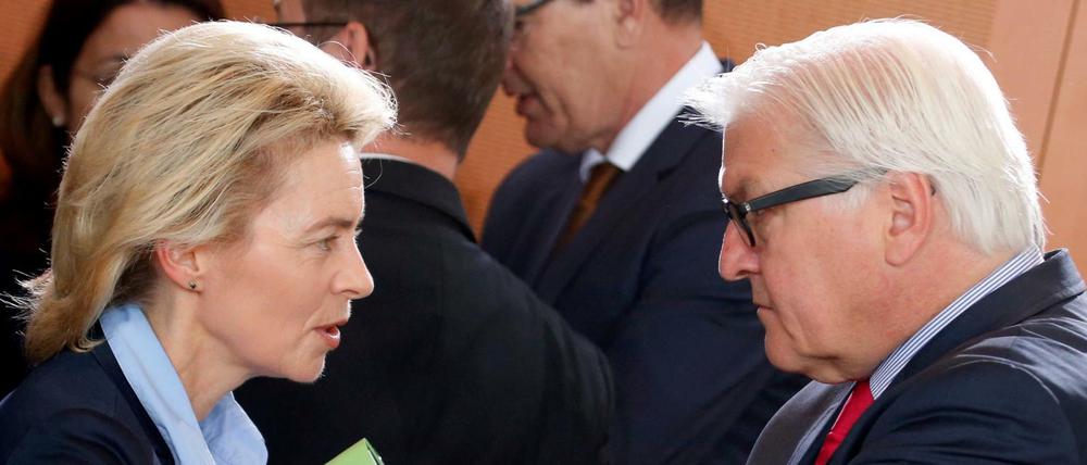 Ursula von der Leyen (Verteidigungsministerin, CDU) und Frank-Walter Steinmeier (Außenminister, SPD) haben einen Konflikt.