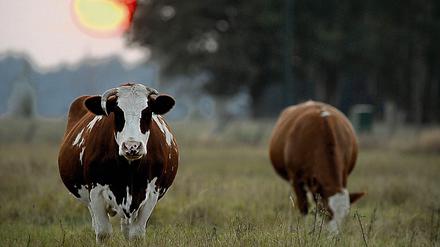 Fürs Image: Die moderne Landwirtschaft ist weniger romantisch.