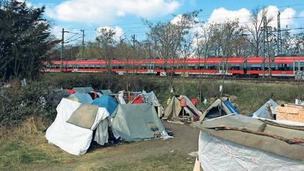 Am Bahndamm. Tausende sehen das wilde Camp. Oft debattieren Fahrgäste: „Interessiert sich denn kein Politiker für die?“ 