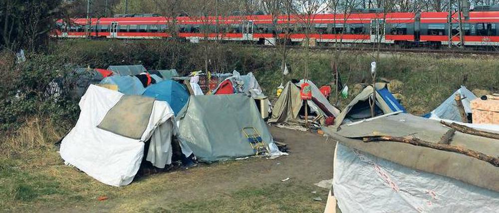 Am Bahndamm. Tausende sehen das wilde Camp. Oft debattieren Fahrgäste: „Interessiert sich denn kein Politiker für die?“
