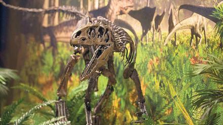 Überreste. Der Niedergang der Riesenechsen machte den Weg frei für die Entwicklung anderer Tiergruppen.