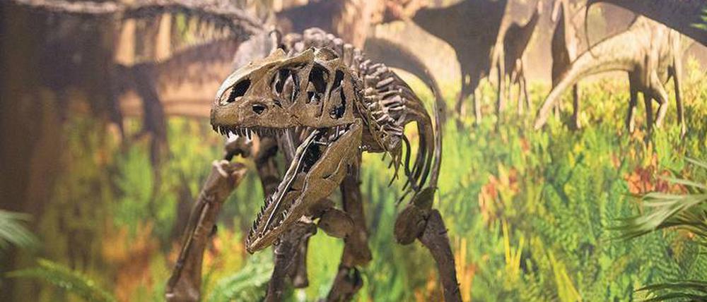 Überreste. Der Niedergang der Riesenechsen machte den Weg frei für die Entwicklung anderer Tiergruppen.