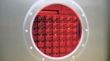 Hochsicherheitslabor