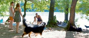 So soll es ab dem 15. April 2016 nicht mehr sein. Das generelle Hundeverbot am Schlachtensee und an der Krummen Lanke geht in die zweite Runde.