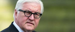 Außenminister Frank-Walter Steinmeier 