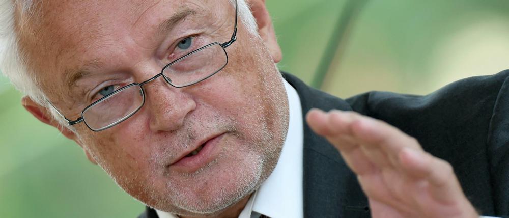 Vize-FDP-Chef Wolfgang Kubicki.