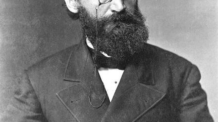 Carl Schurz, vermutlich 1877.