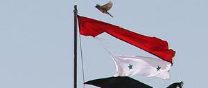 Ein Friedenszeichen? Ein Vogel fliegt in der Nähe der Stadt Qamishli über eine zerrissene syrische Flagge. 