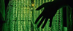 Der Verfassungsschutz hat den Negativpreis "Big Brother Award" bekommen.