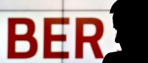 Schwarzes Schaf. Wer ist Schuld am Chaos bei Großprojekten? 