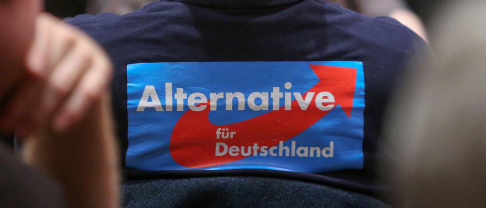 Die AfD will für mehr Zusammenarbeit zwischen den rechtsnationalen Parteien Europas sorgen.