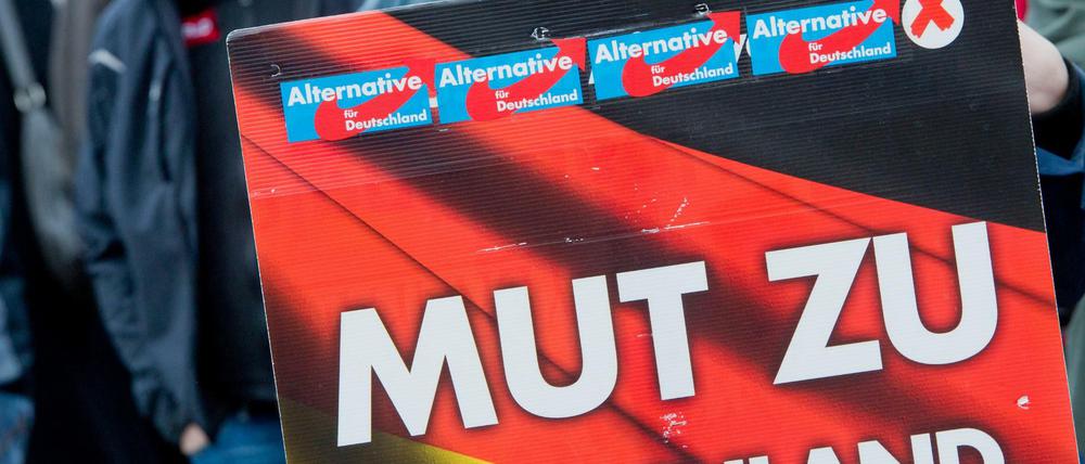 Anhänger der "Alternative für Deutschland" (AfD) demonstrieren.