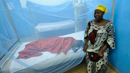 Gegen viele durch Steckmücken übertragene Krankheiten hilft auch kein Moskitonetz. 