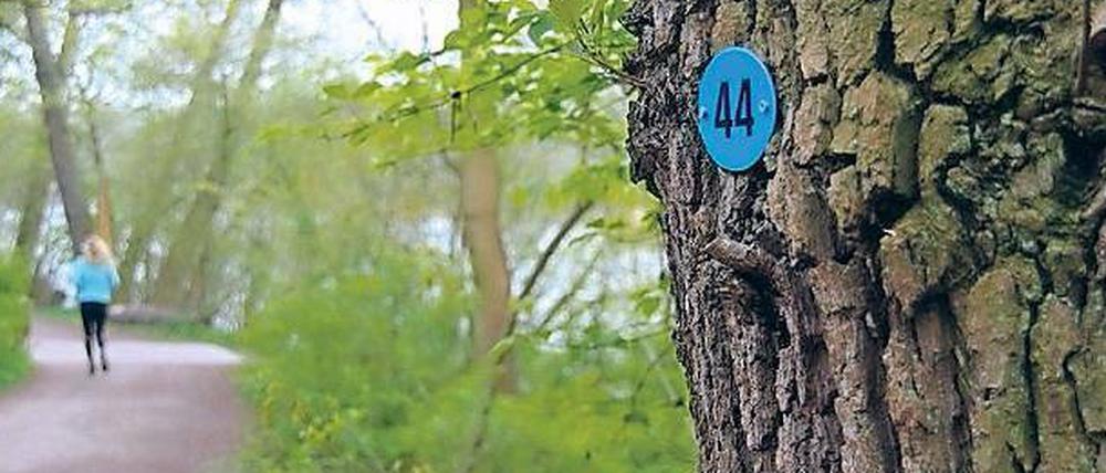 Stehn wa im Wald hier? So sehen die Orientierungsnummern aus. 