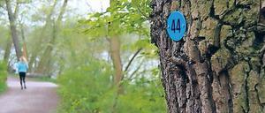 Stehn wa im Wald hier? So sehen die Orientierungsnummern aus. 