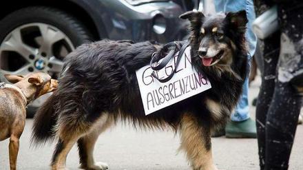 Hundebesitzer fühlen sich und ihre verbeinigen Freunde wegen des Hundeverbots ausgegrenzt, hier ein Bild von einer Demonstration im Mai 2015. Ein Antragsteller hat nun zwei Eilanträge beim Verwaltungsgericht Berlin eingereicht