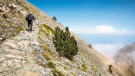 Schritt für Schritt. Der Aufstieg über Koromilia, im Nordosten des Olymp, ist wenig begangen. Nur selten begegnet man hier rucksackbepackten Touristen. 
