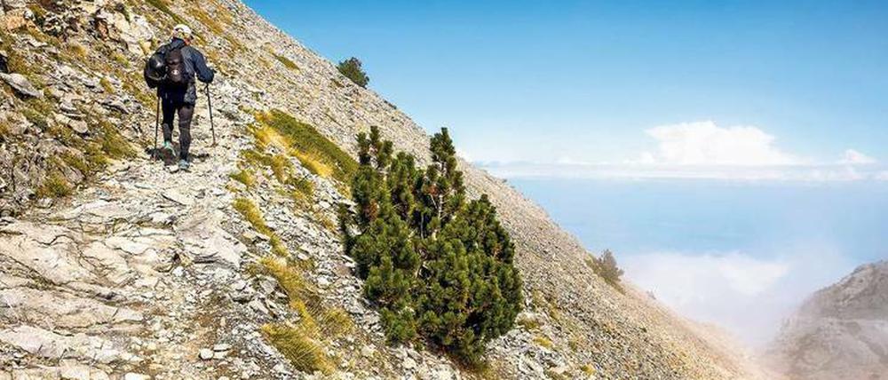 Schritt für Schritt. Der Aufstieg über Koromilia, im Nordosten des Olymp, ist wenig begangen. Nur selten begegnet man hier rucksackbepackten Touristen.